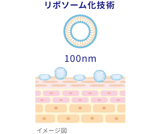 リポソーム化技術